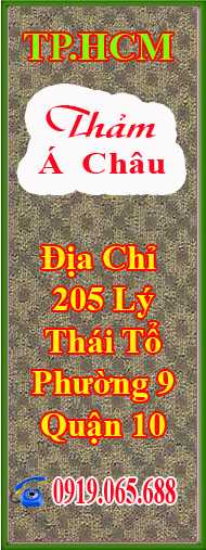 Giới thiệu